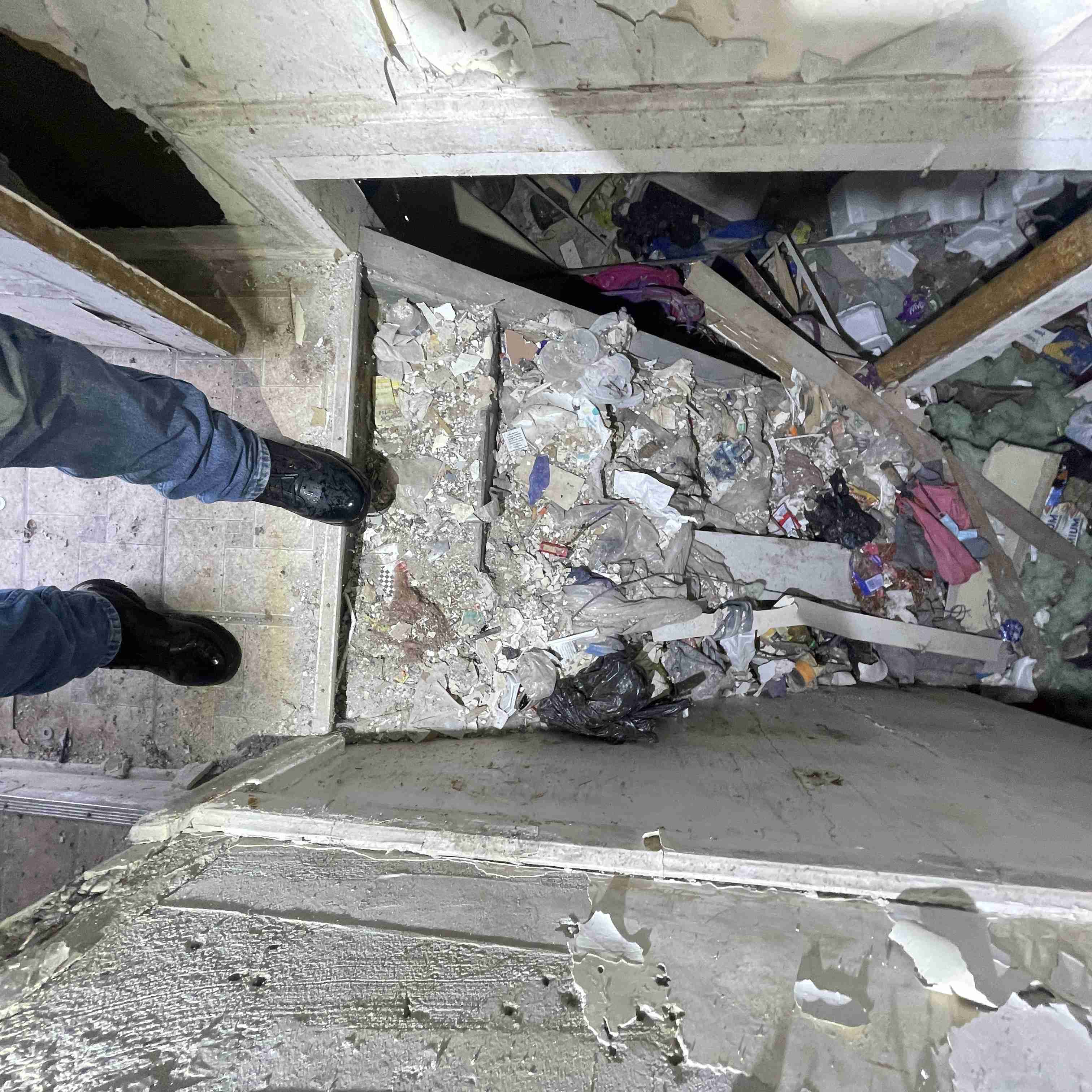 20017 Schoenherr (77).jpg